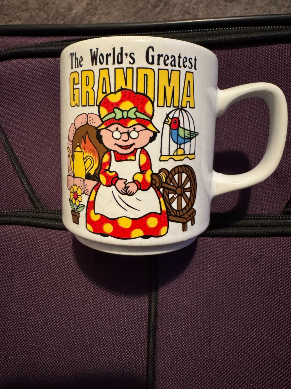 Vintage Grandma Cartoon Ceramic Coffee Mug - Multicolor